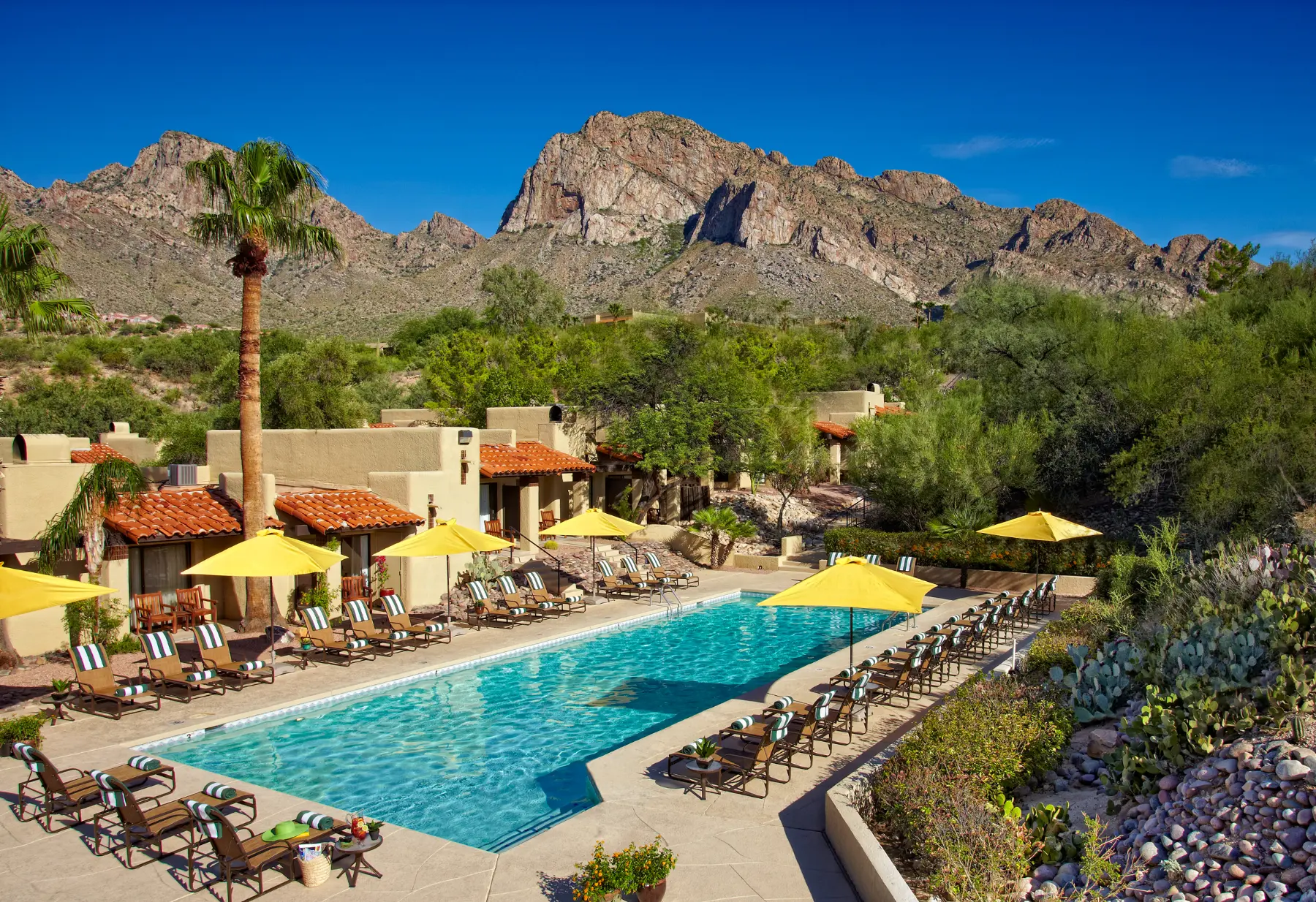 Hilton El Conquistador pool view